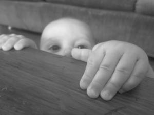 Pickle is pulling himself up now.